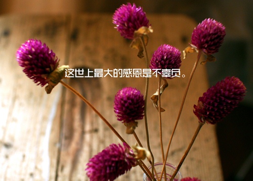 谢谢客人照顾生意的说说