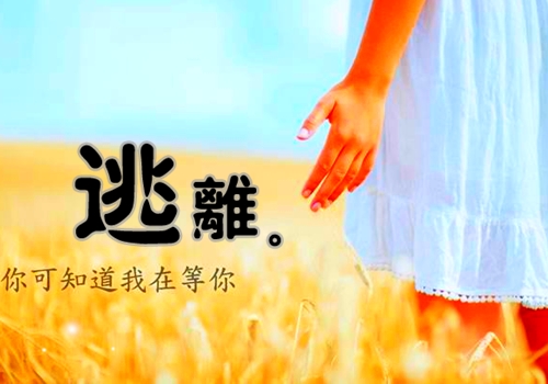 唯美句子网 说说 忙碌的生活很充实的说说16,简单一点,快乐才会长久