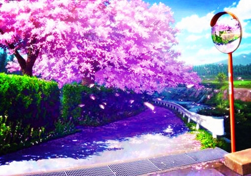 风味小吃作文500字_风味小吃作文_风味小吃作文200字