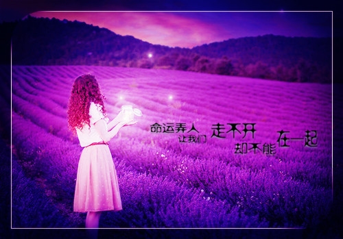 人的一生必定会经历坎坷的说说