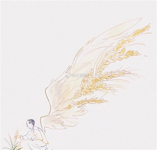 赞美缅怀袁隆平的句子