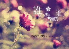 关于不爱了的心情说说