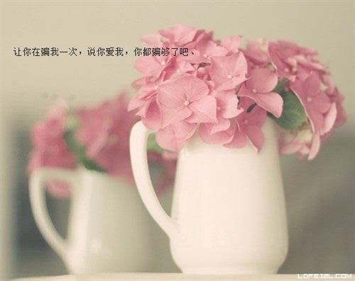 心累不想管那么多了说说