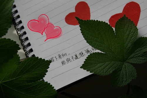 佛家感悟的句子