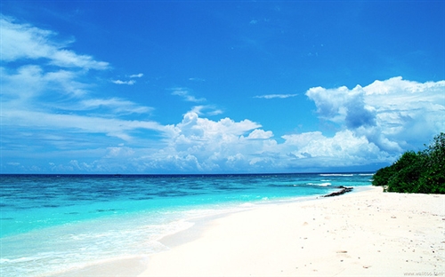 描写海滩风景的句子