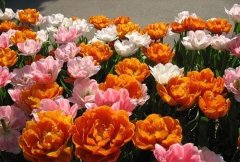 教师节卡片祝福语简短一句话