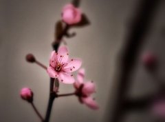 一辈子都不会原谅你的说说