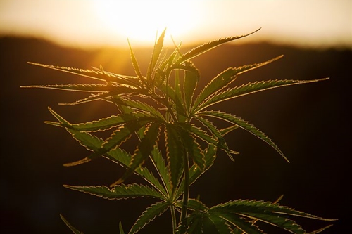 最熟悉的陌生人说说句子