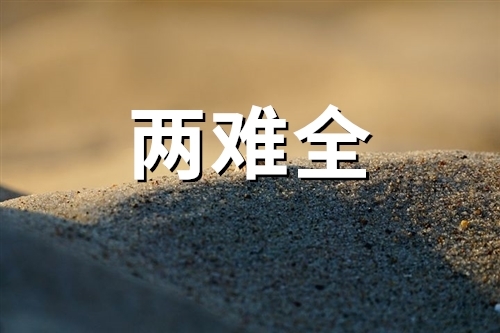 工作和家庭两难全的句子