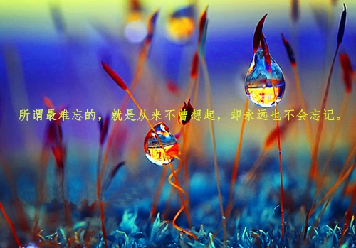 高雅大气有气质的男生微信名字(精选38句)