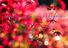 突然感觉生命好脆弱的说说(必备61句)