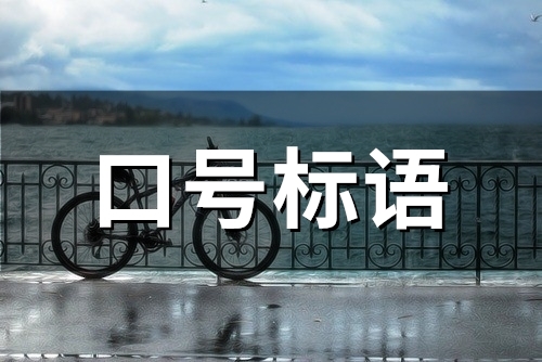 公司员工团队的口号标语(实用529句)