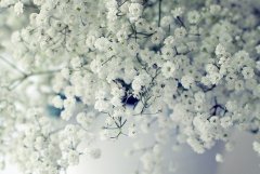 表达曾经爱过的句子(优选42句)