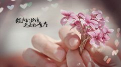 2023全新比较有趣的招聘宣传语(精选152句)