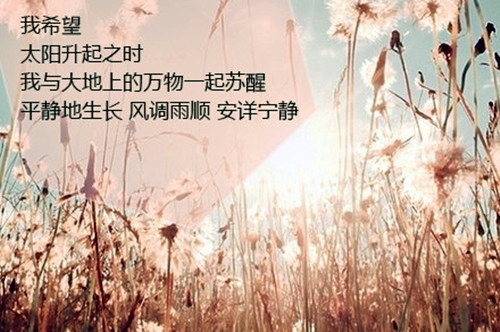 两口子感觉越来越陌生的说说(55句)