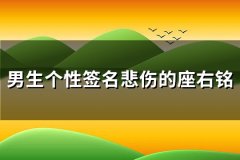 男生个性签名悲伤的座右铭(优选103句)