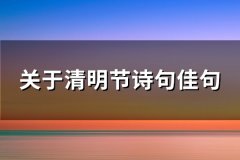 关于清明节诗句佳句(必备110句)