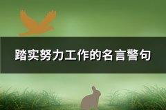 踏实努力工作的名言警句(137句)