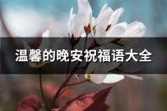 温馨的晚安祝福语大全(必备122句)