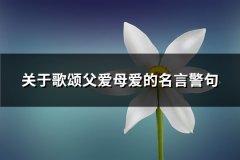 关于歌颂父爱母爱的名言警句(热门64句)