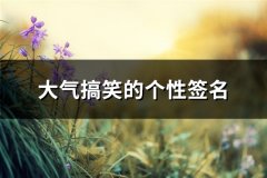 大气搞笑的个性签名(优选425句)