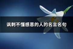 讽刺不懂感恩的人的名言名句(共90句)