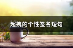 超拽的个性签名短句(汇总335句)