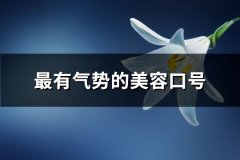 最有气势的美容口号(优选138句)