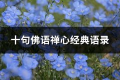 十句佛语禅心经典语录(通用100句)