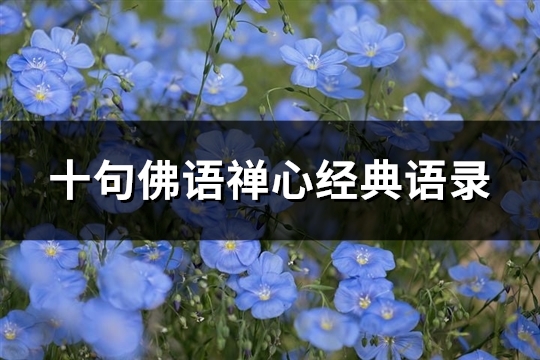 十句佛语禅心经典语录(通用100句)