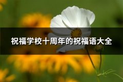 祝福学校十周年的祝福语大全(汇总91句)