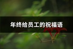 年终给员工的祝福语(汇总84句)