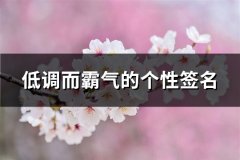 低调而霸气的个性签名(精选118句)