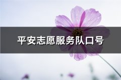 平安志愿服务队口号(汇总96句)