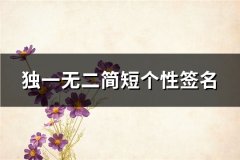 独一无二简短个性签名(共242句)