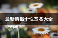 最新情侣个性签名大全(259句)