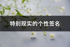 特别现实的个性签名(优选88句)