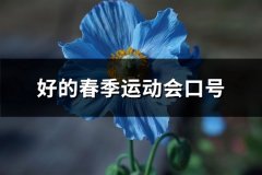 好的春季运动会口号