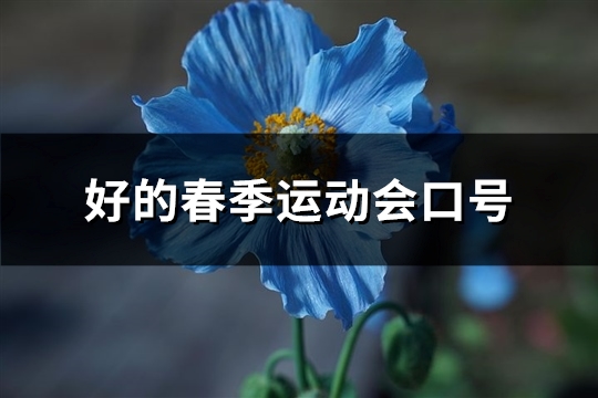 好的春季运动会口号