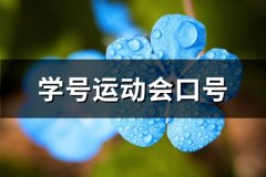 学号运动会口号