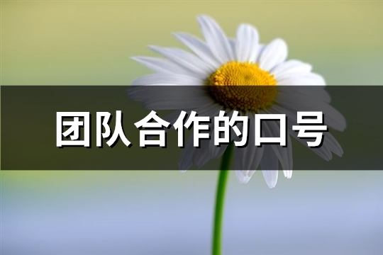 团队合作的口号