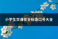 小学生交通安全标语口号大全