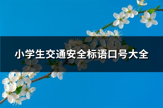 小学生交通安全标语口号大全