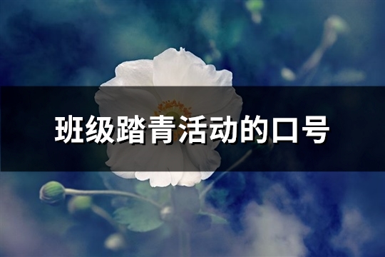 班级踏青活动的口号