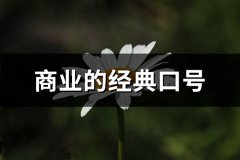 商业的经典口号