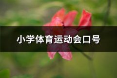 小学体育运动会口号