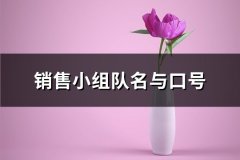 销售小组队名与口号