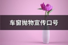 车窗抛物宣传口号