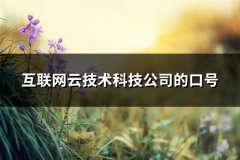 互联网云技术科技公司的口号