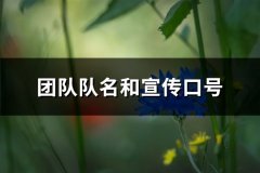 团队队名和宣传口号